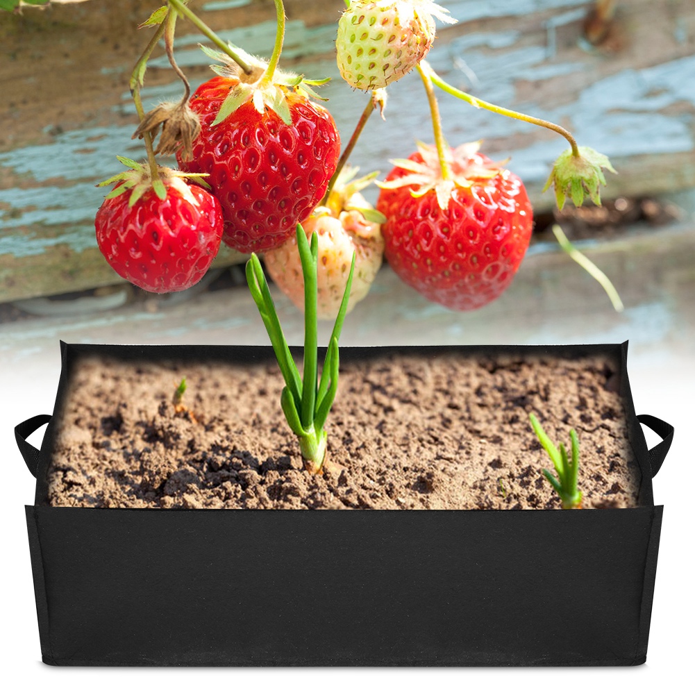 1 Stück Pflanzbeutel Für Gemüse, Erdbeeren, Gartenpflanzen, Blumen, Baumschule (l 60 X 30 X 20 Cm)