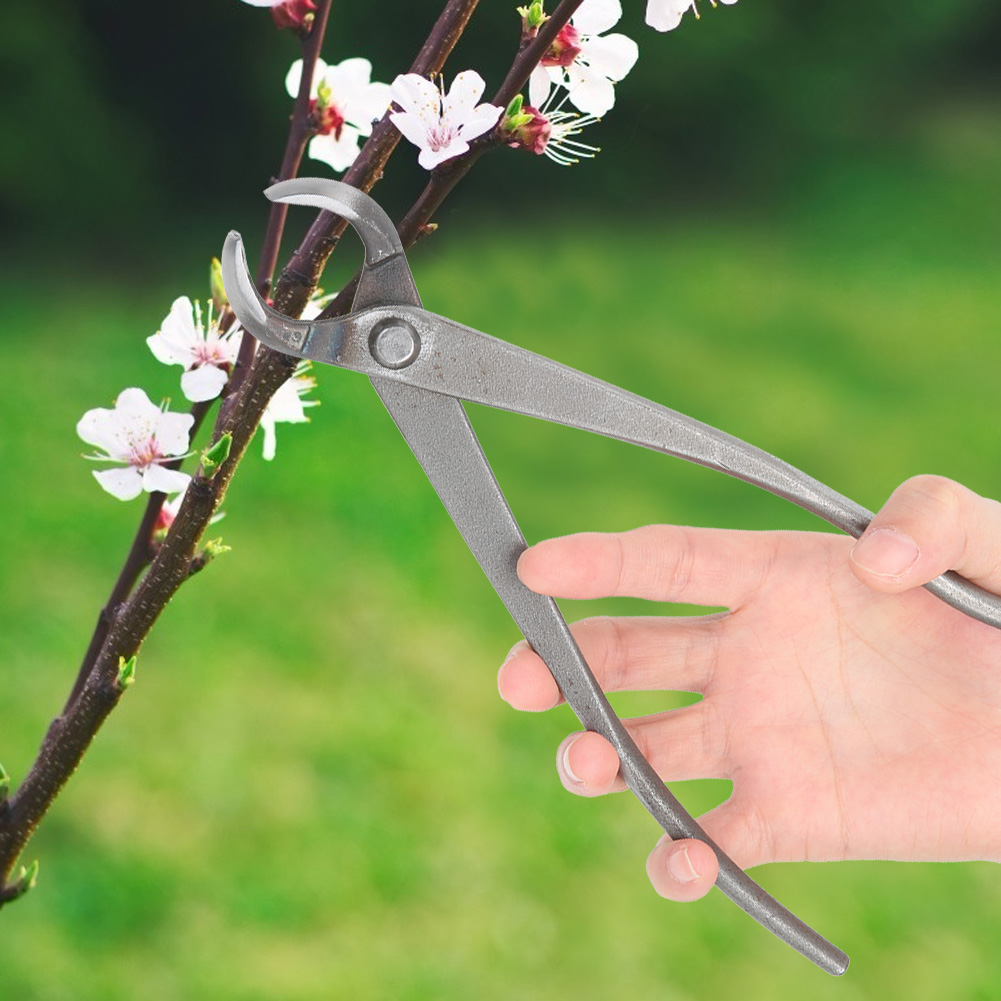 Multifunktionale Gartenschere Aus Kohlenstoffstahl Mit Langem Griff, Auch Als Bonsai-schere Geeignet.