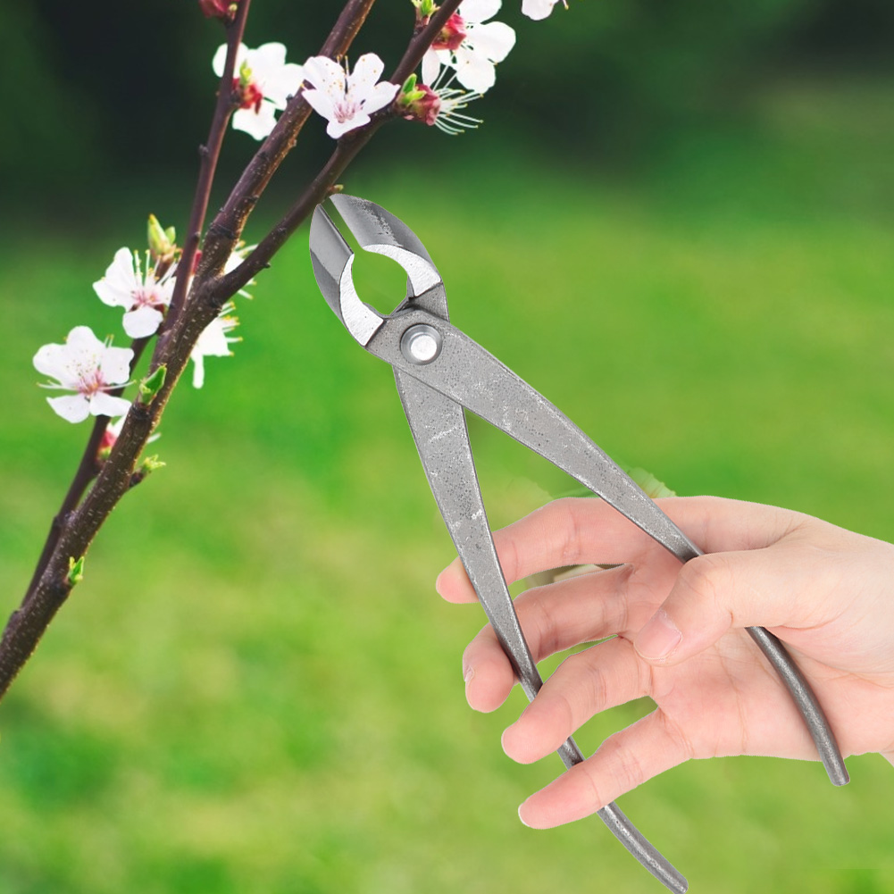 Multifunktionale Gartenschere, Astschneider Für Bonsai Und Bäume, Gartenschere, Werkzeug