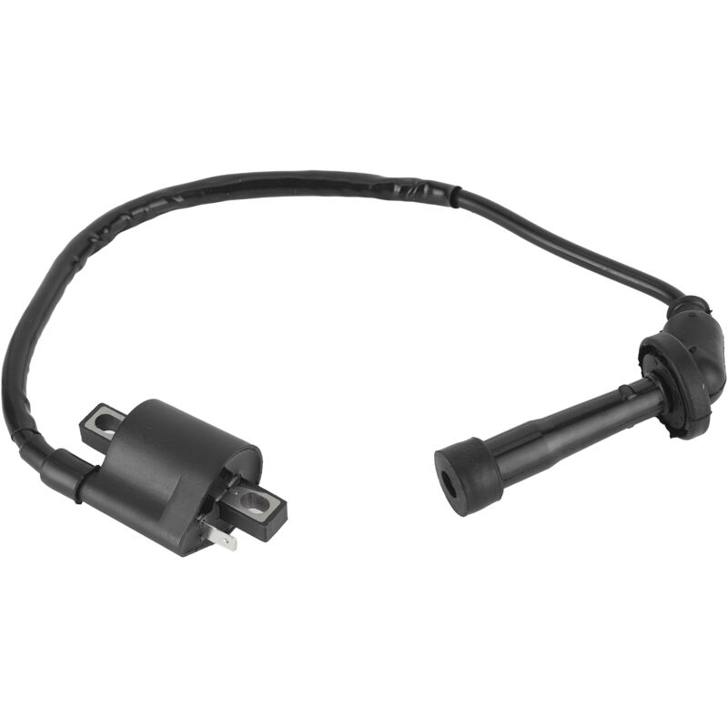 Jeffergarden Zündspule Für Yamaha Grizzly 660 Yfm660 2002 2003 2004 2005 2006 2007 2008 Atv-teile