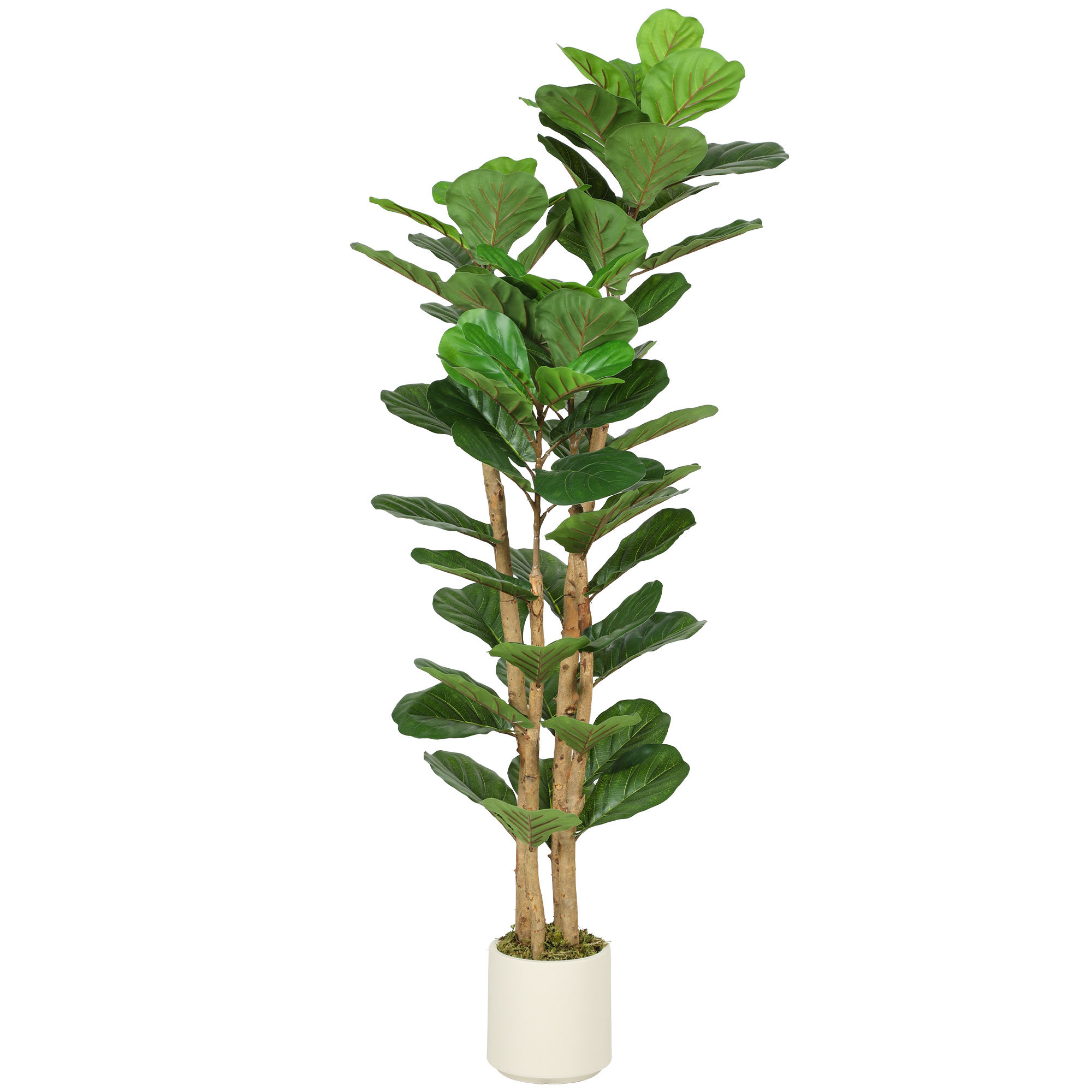 Künstlicher Grüner Feigenbaum Aus Peva Und Holz Mit Einem Topf Aus Pp Und Zement, 50 X 50 X 150 Cm