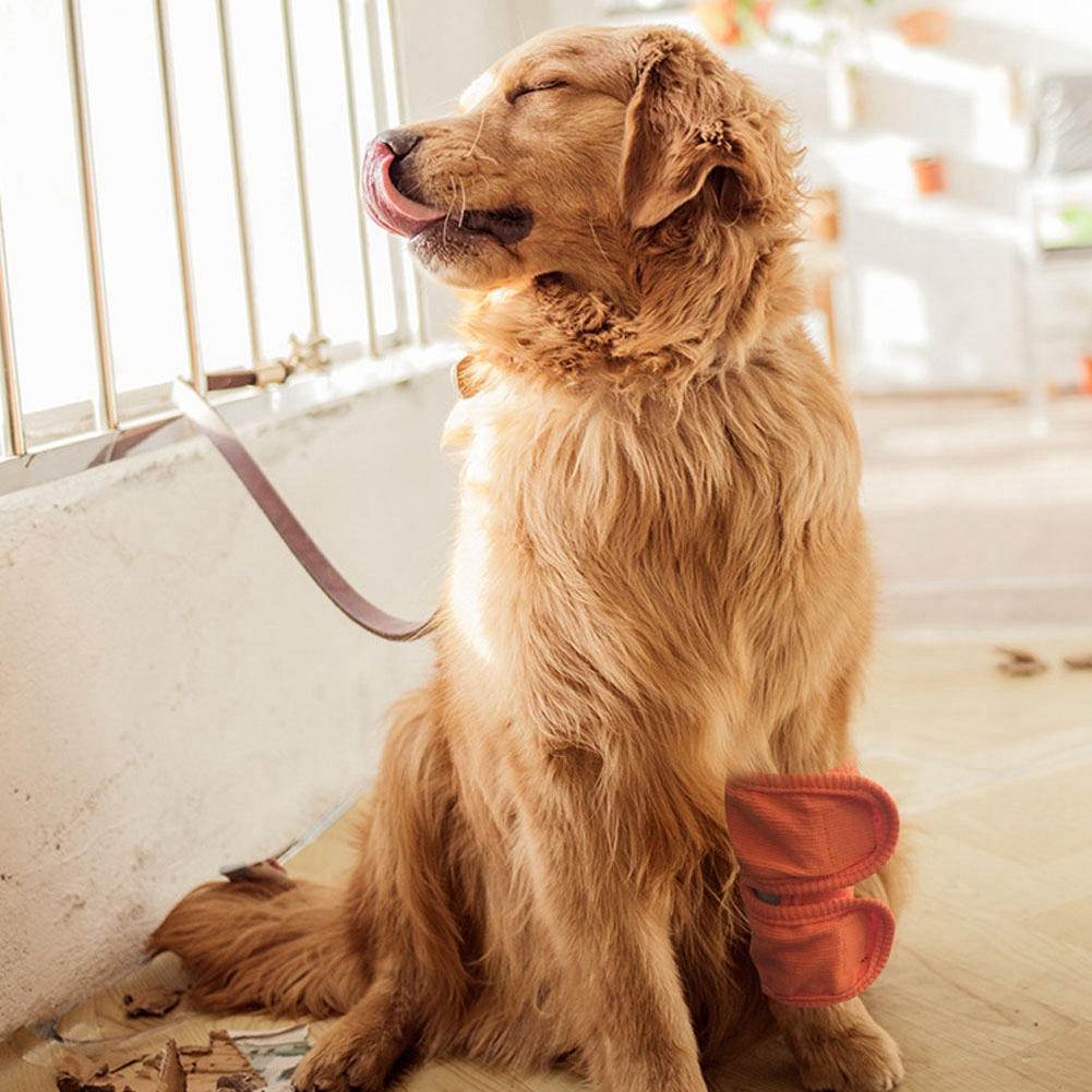 Set Mit 2 Pfotenorthesen/ellbogenschützern, Warmen Knieschonern Und Schutzgamaschen Für Operationswunden Für Hunde/katzen, Orange, Größe L