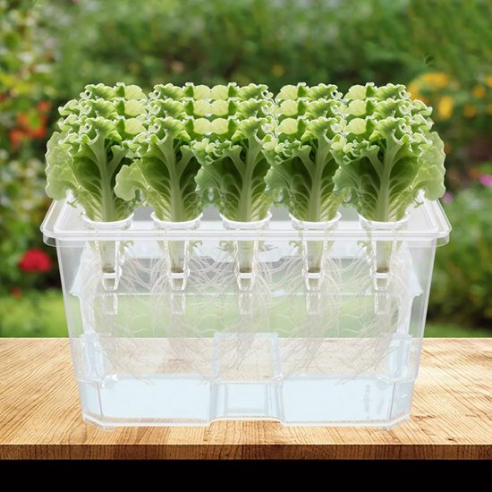 Set Aus 2 Transparenten Hydroponik Anbauboxen Mit Je 15 Löchern Im Deckel, Komplettes Wasseranbau Set Inklusive 15 Pflanzkörben Pro Box Für Salat
