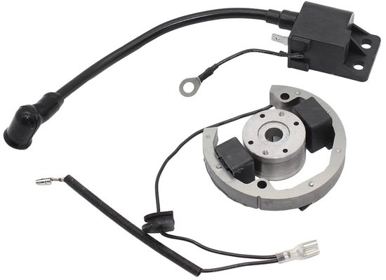 Zündspulen Stator Rotor Kit 50 Sx 50cc Pro