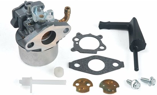 Passend Für Vergaser Von Briggs & Stratton 798653, 697354, 790290, 791077 Und 698860 ()