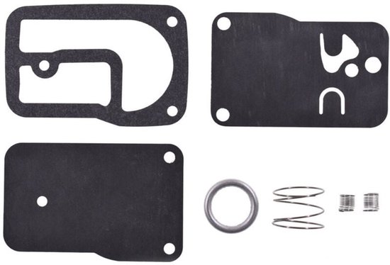Für Kraftstoffpumpen Reparatursätze, Kompatibel Mit Briggs & Stratton 393397 401400.