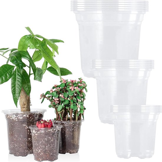 Anzuchtset Pflanzgefäße Aussaat Und Vermehrung Transparentes Design 36 Teilig