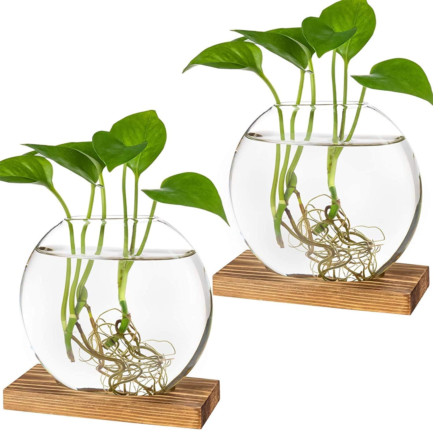 2er-pack Glas-anzuchtstation – Runder Pflanzkübel Mit Holzständer Für Hydrokulturpflanzen – Dekoratives Terrarium Für Zuhause Und Büro (braun)