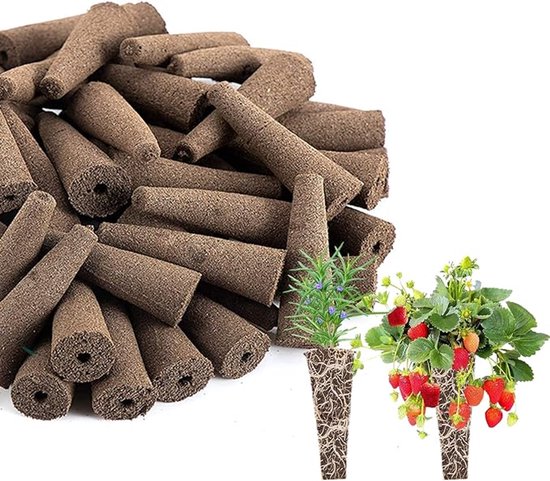Ersatz Pflanzenschwämme 100 Stück Pflanzenwachstumsstopfen Für Hydrokultur 2 X 6,2 X 1 Cm Ersatz Wachstumsschwämme Für Aerogarden Für Den Hydropo