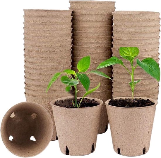 Anzuchttöpfe Pflanzgefäße Pflanzbecher Pflanzentöpfe Mit Abflusslöchern 30 Stück 6 Cm Braun