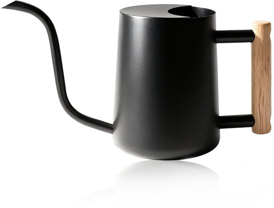 Dailygoods Bamworld Gießkanne 1l Für Zimmerpflanzen, Kleine Edelstahl Gießkanne Mit Holzgriff, Langer Ausguss Für Drinnen Und Draußen, Schwarze B