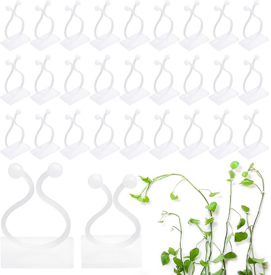 Clip On Stütze Für Monstera Kokosfaser Moosstab Zur Pflanzenstützung Kletterhilfe Für Zimmerpflanzen Wie Monstera 2er Pack 30 Cm Lang Mit Jutesch