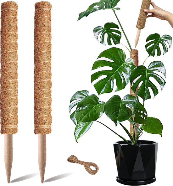 Moosstäbe Rankgitter Kletterhilfe Für Pflanzen Pflanzenstütze Für Monstera, Efeutute Und Geldbaum 2 Stück 50 Cm