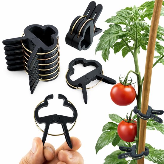 Dailygoods Pflanzenclips 60x Wiederverwendbar Einfache Befestigung Stütze Für Kletterpflanzen Für Tomaten/gurken Natürliches Design Pflanzenhalte