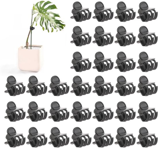 Dailygoods 50 Pflanzenclips Für Orchideen Und Kletterpflanzen