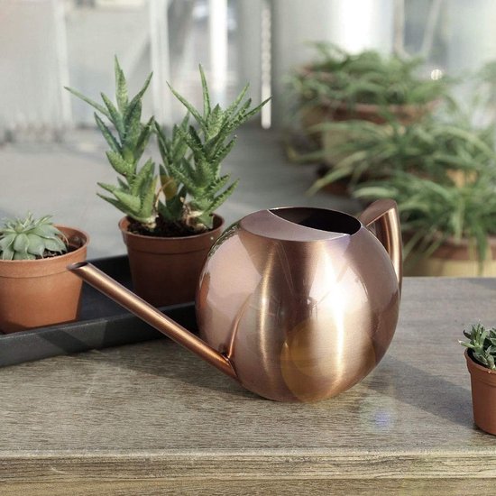 Dailygoods Edelstahl Bonsai Gießkanne Mit Langem Ausguss, 1 L