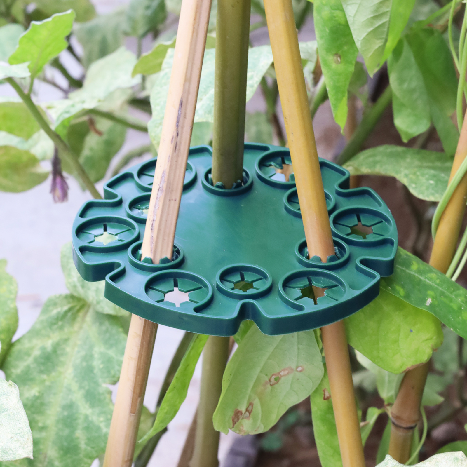 Garten-bambusscheibe, Pflanzenstütze Für 8–12 Mm Stäbe, 13,5 Cm, Grün