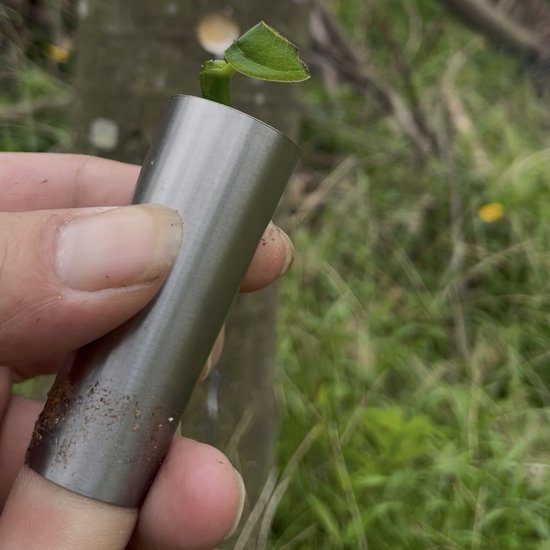 2 Teiliges Veredelungsmesser Aus Edelstahl Für Obstbäume, Knospenmesser Für Den Gartenbau
