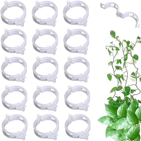 Pflanzenclips, 100 Stück 25 Mm Durchmesser Schwarz Tomatenpflanzen Gemüsegarten Tomatenpflanzen Anbinden Pflanzenclips Clips Für Tomatenpflanzen