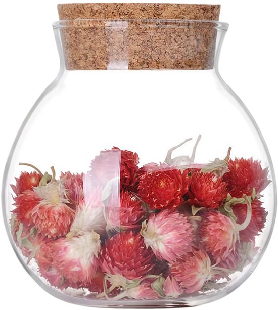 Zeynomax Vorratsglas 500 Ml Glas Mit Korkdeckel Rundes Glas 10 Cm Hoch Transparent Einmachglas