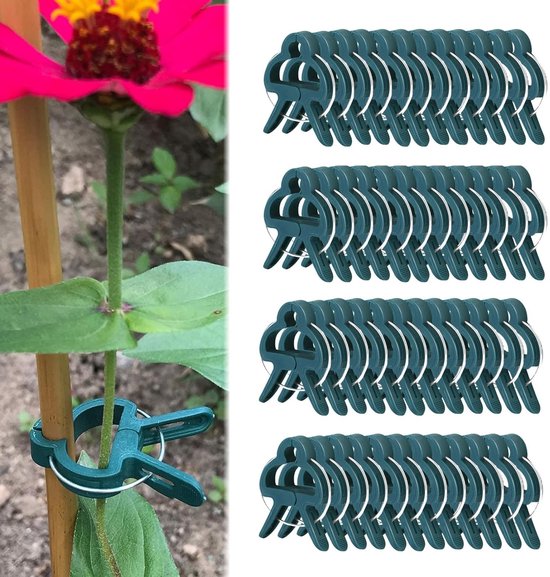 Dailygoods Pflanzenhalterclips, 40 Stück Pflanzenstütze Kletterhilfe