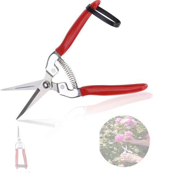 Dailygoods Pflanzenschere Gartenschere Astschere Ernteschere Für Garten/bonsai Für Pflanzen/blumen/rosen