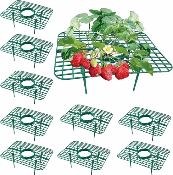 10er Set Erdbeerstützen Für Erwachsene Pflanzenständer Und Rankgitter Mit 4 Beinen Zum Schutz Vor Schnecken Und Fäulnis