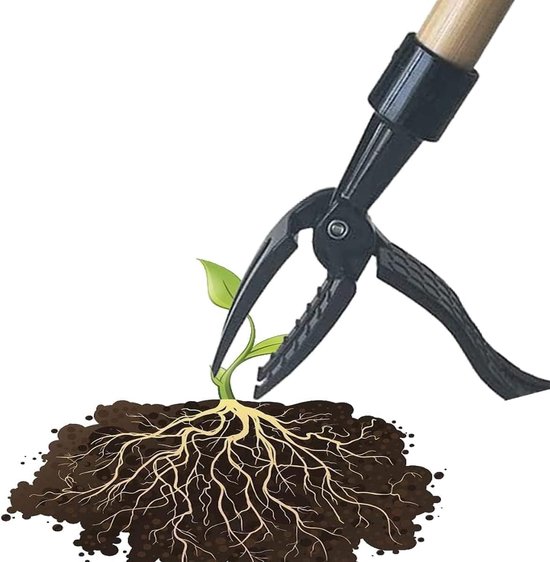 Ersatzkopf Für Unkrautstecher Unkrautstecher Aus Metall Für Stehendes Arbeiten Handgerät Für Garten Und Rasen (ohne Bücken Oder Knien) (griff Nic