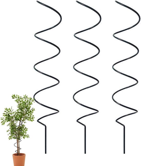 Spiral Pflanzenstützen Tomatenstecklinge Pflanzenstütze Rostfreies Eisen 3 Stück À 44 Cm Schwarz