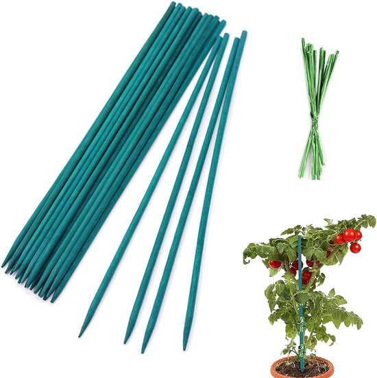 Bambus Gartenpfosten Pflanzenstützen Umweltfreundliches Material 30 Cm, 50 Gurte Grün