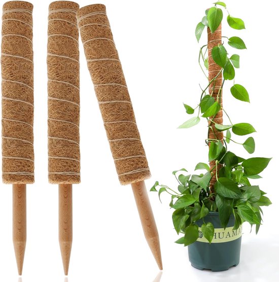 Allecta Stützstangen Für Kletterpflanzen Und Monstera, 3er Set, Verstellbare Kokosnussmoosstangen, 40 Cm