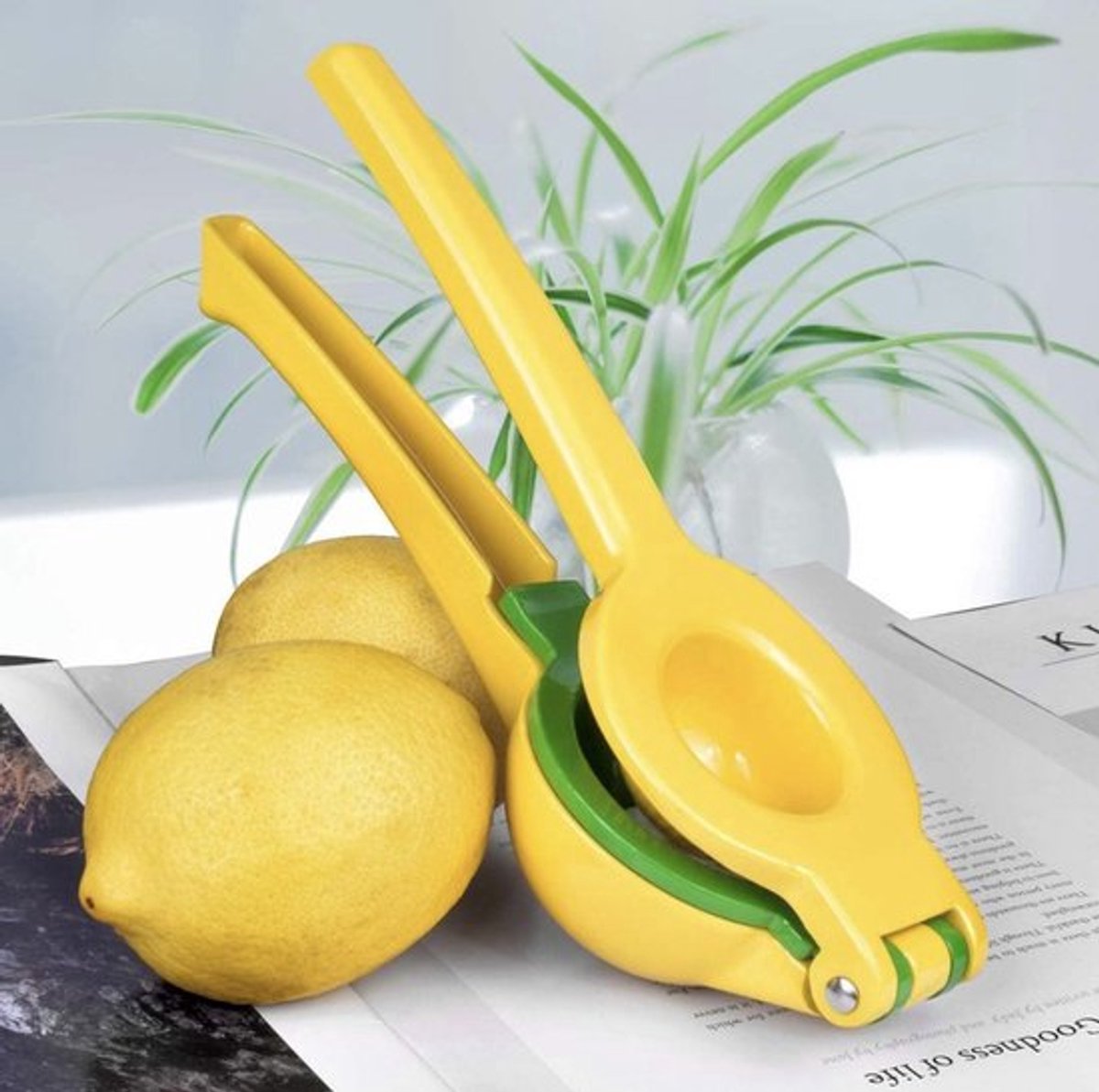 Zitruspresse – Zitronenpresse – Limettenpresse – Orangenpresse – Manuelle Fruchtpresse – Metall – 22,5 X 7,4 Cm