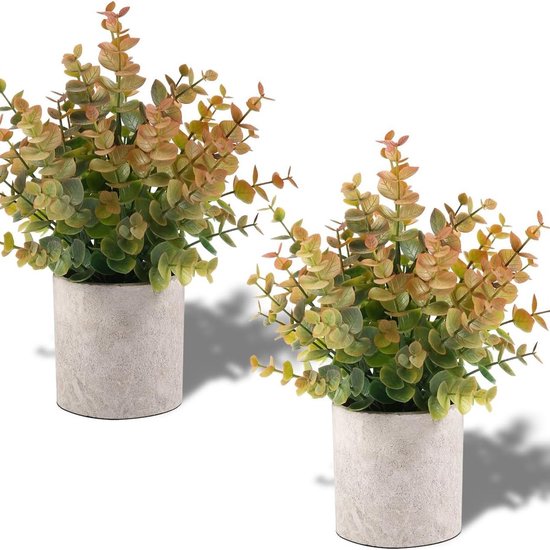 Zwei Kleine Künstliche Eukalyptusbäume, Als Dekoration Für Regale Im Innenbereich, Für Zuhause/badezimmer/töpferei/schreibtisch/landhausstil/couc