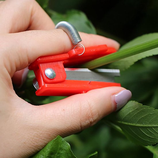 3 Teiliges Daumenscheren Set Zum Pflücken Von Obst Und Gemüse. Erntewerkzeuge In Rot Und Grün.