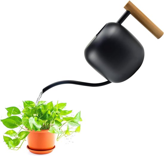 1200 Ml Edelstahl Gießkanne, Kleine Gießkanne Mit Langem Ausguss Für Zimmerpflanzen, Metallgießkanne Für Zimmerpflanzen, Kleine Gießkanne Für Ver
