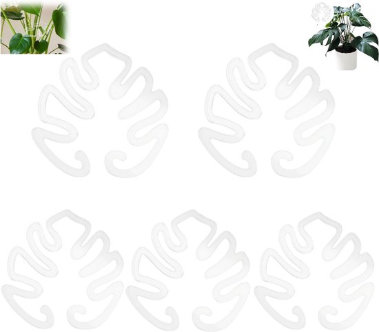 5 Stück Wurzelstütze Stängelstütze Transparent Robuste Pflanzenstütze Stütze Für Monstera Deliciosa Blütenförmige Acryl Pflanzenstütze