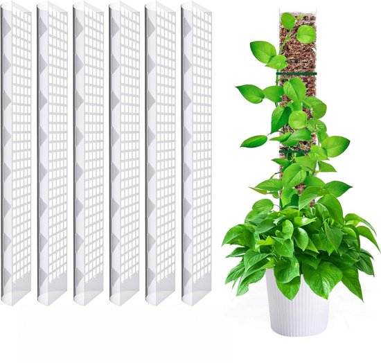 6er Packung 10 X 60 Cm Große Torfmoos Stützen Aus Kunststoff, Monstera Stütze, Moossäule, Für Monstera Kletterpflanzen Im Garten