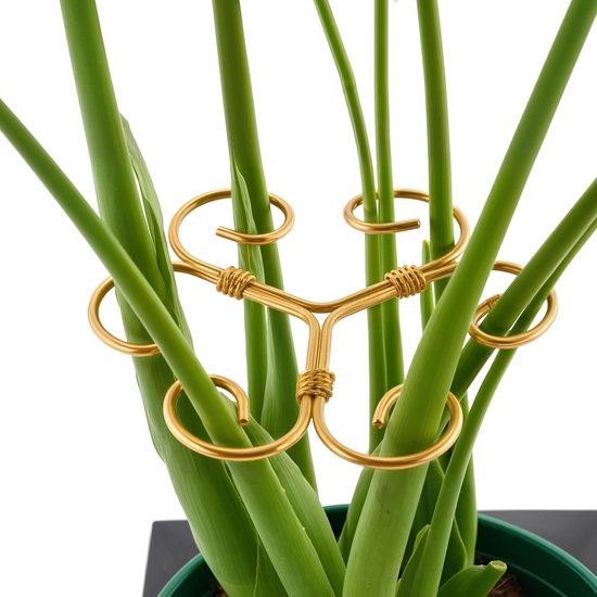 4 Teilige Monstera Stützen Aus Eisen Einzigartig Designte Pflanzenstäbe Für Zimmerpflanzen, Stabile Stützen Und Stäbe, Bambusklammern In Schildpa