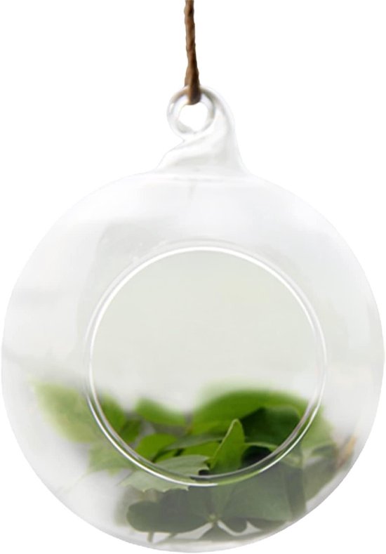 Terrarium Set Aus Glas Hängeampeln Pflanzendekoration Hitzebeständiges Glas 2 Stück, 10 Cm Transparent