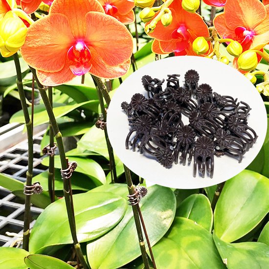 Orchideenclips Blumenclips Für Pflanzen, Garten & Baumschule 20 Stück