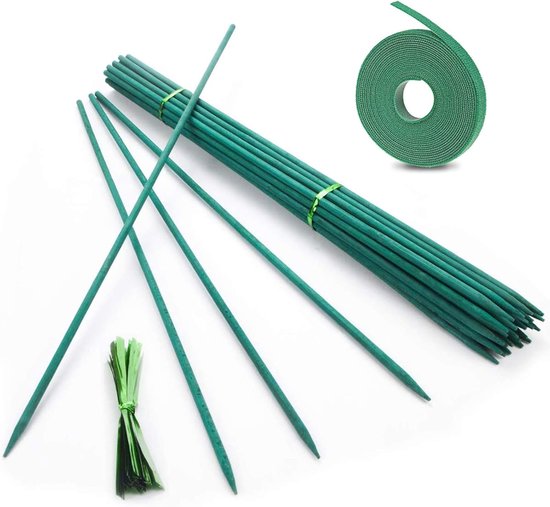 Set Mit 50 Bambus Pflanzenstützen (38 Cm) Mit 50 Metallbändern Für Zimmer , Garten Und Kletterpflanzen
