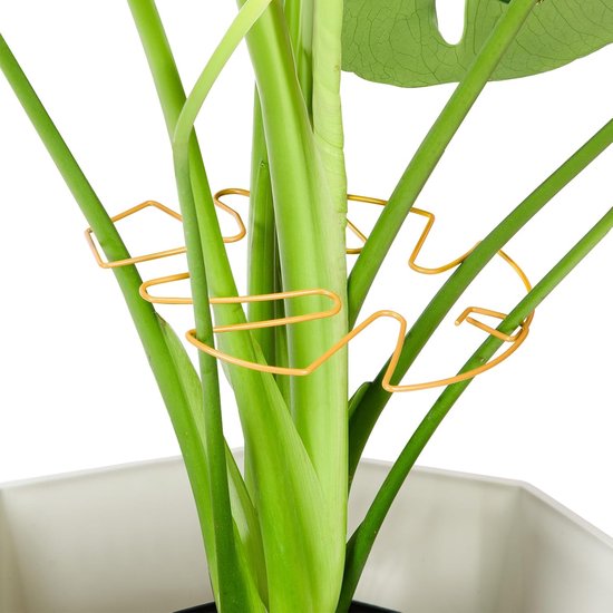 Dieses 6 Teilige Set Aus Schmiedeeisernen Monstera Pflanzenständern Beinhaltet Einzigartig Gestaltete Accessoires Für Zimmerpflanzen, Stabile Pfl