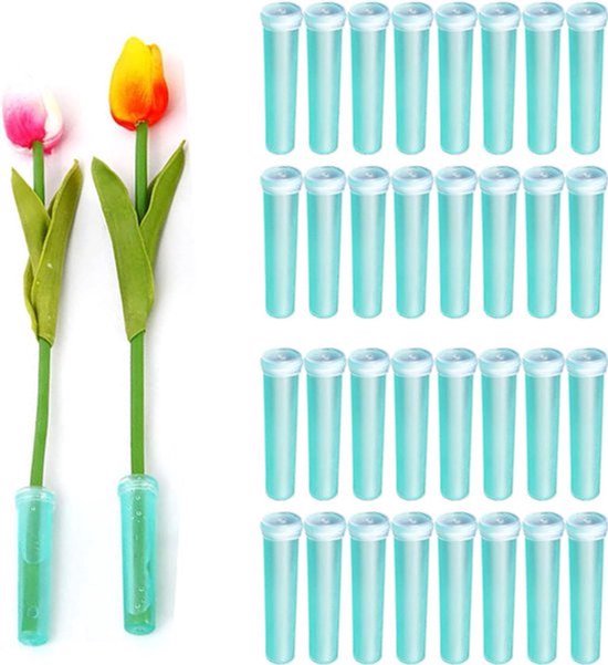 Transparente Blumenröhrchen 100 Stück, Zum Umsetzen Und Düngen Von Frischblumen