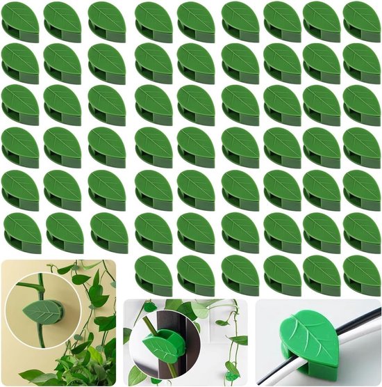 Pflanzenclips Für Kletterpflanzen Grüne Wandhalterungen 40er Set