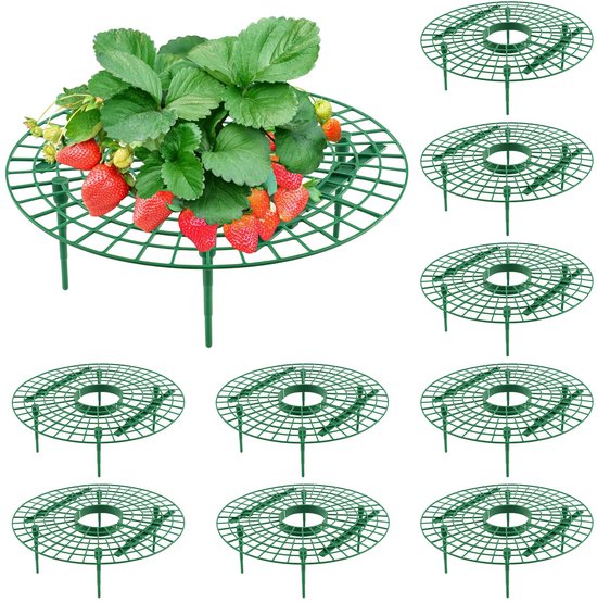 10 Erdbeerpflanzenständer Runder Erdbeerpflanzenständer Hält Erdbeerpflanzen Im Garten Sauber Verhindert Fäulnis Und Verschmutzung Der Erdbeeren