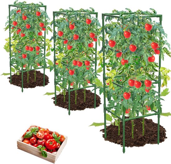 3er Pack Tomatenkäfige Quadratische Pflanzenstützen Für Klettergemüse Und Blumen Besonders Stabil Und Langlebig
