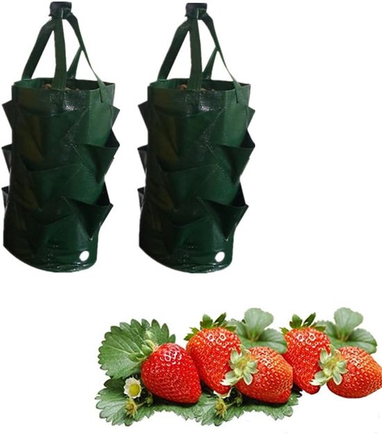 2 Wiederverwendbare Pflanzsäcke Pflanzbeutel Für Diy Projekte, Kartoffeln, Tomaten, Erdbeeren Und Obstpflanzen Gartentöpfe Pflanzsäcke Mit Griffe