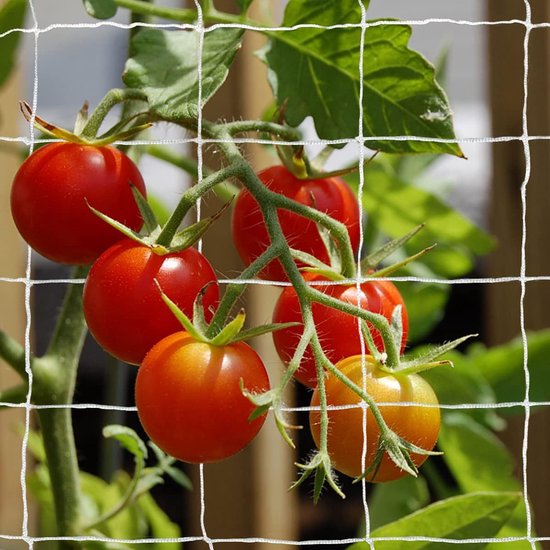 Kletterpflanzennetz Ranknetz Für Den Garten Stütznetz Für Kletterpflanzen Gartennetz Für Gemüse Und Kletterpflanzen Kletternetz Für Gurken, Tomat