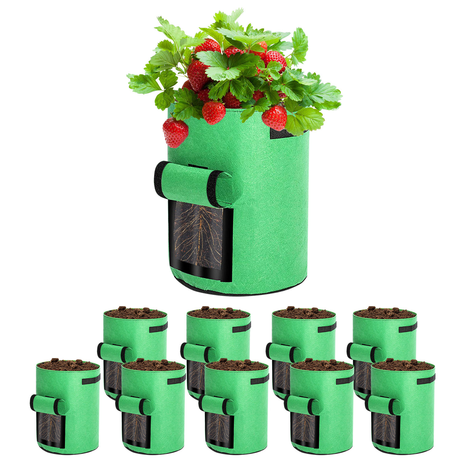 Jiubiaz 10er Set Pflanzsäcke 38 L Aus Vlies Mit Sichtfenster & Griffen, Kartoffel-pflanztaschen Für Gemüse, Balkon & Garten
