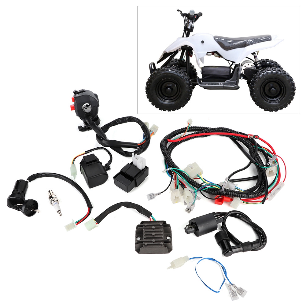 Elektrischer Kabelbaum Mit Cdi-einheit Für Atv/quad 200-300 Cm³